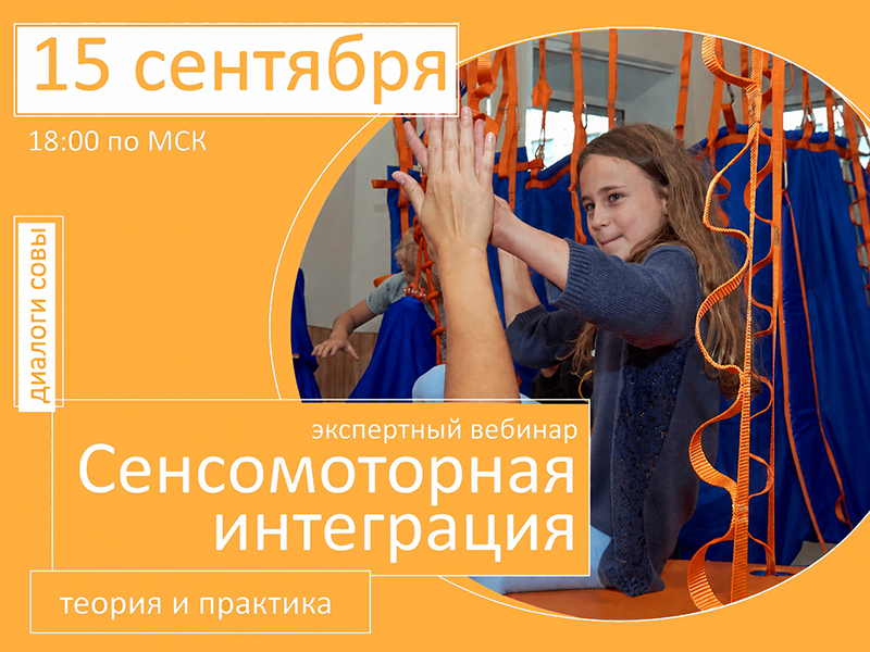Сенсомоторная интеграция теория и практика_800x600.png